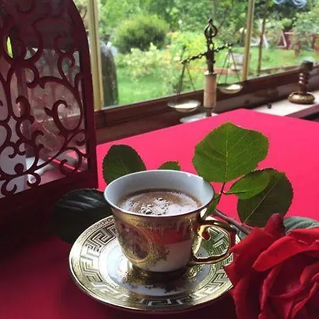 Casa de hóspedes Oylat Koy Konagi Hilmiye